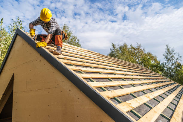 Best Metal Roofing Contractor  in Tuscoosa, AL